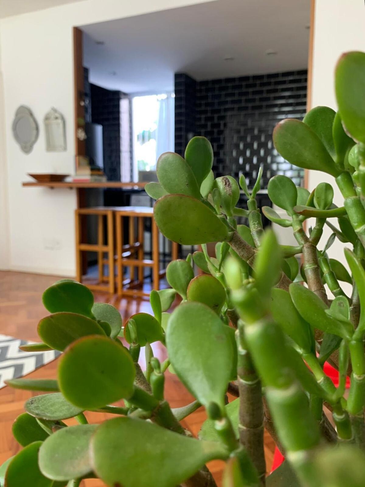 Em Solo Gavea Appartement